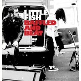 Little-Fish